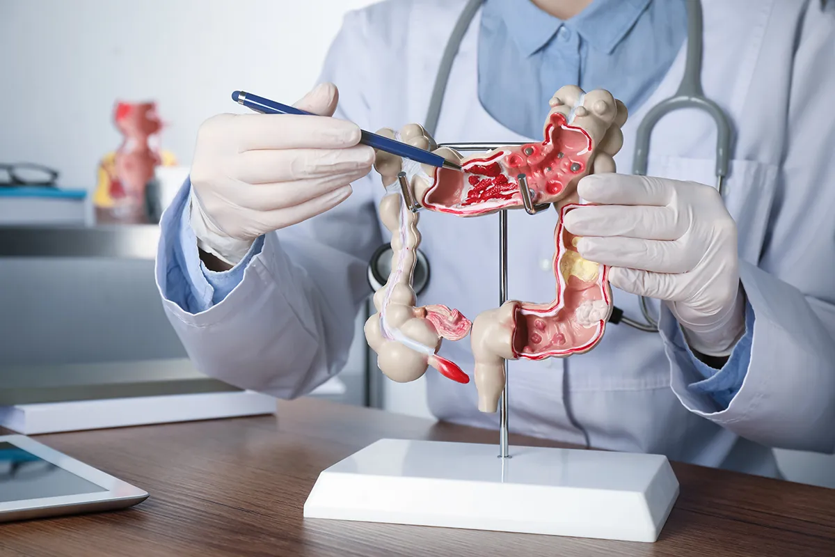 Les chirurgiens digestifs du p&ocirc;le sant&eacute; sud - le mans